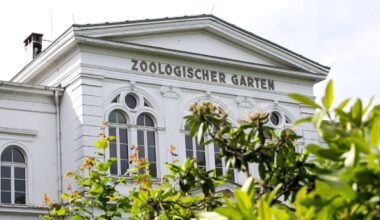 Zoo Wuppertal zeigt Bilder aus Gehege – Besucher werden es wohl nie sehen!- DerWesten.de