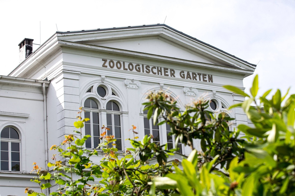 Zoo Wuppertal zeigt Bilder aus Gehege – Besucher werden es wohl nie sehen!- DerWesten.de