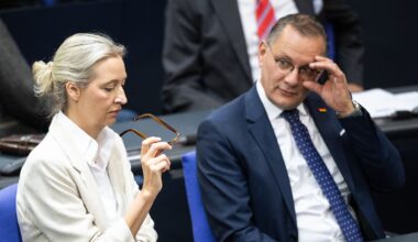 "Friedenspartei" in Zwickmühle: Das peinliche Trump-Dilemma der AfD