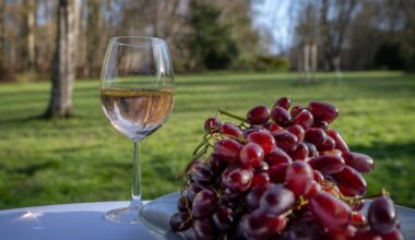 Sommerfest der Herner Sternwarte | halloherne.de