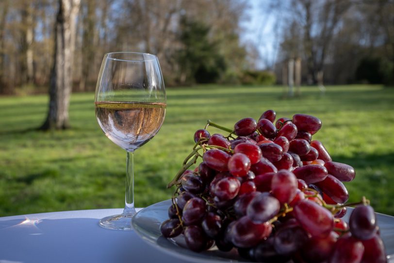 Sommerfest der Herner Sternwarte | halloherne.de
