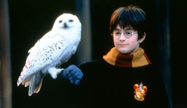 Harry Potter: Seltene Ausgabe bringt bei Auktion mehr als 56.000 Pfund | News