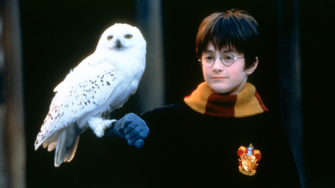 Harry Potter: Seltene Ausgabe bringt bei Auktion mehr als 56.000 Pfund | News