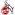 1.FC Köln Jugend
