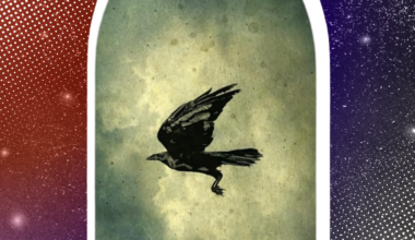 Mein Fantasy-Buch-Tipp ist wie ein Superhelden-Blockbuster, nur besser