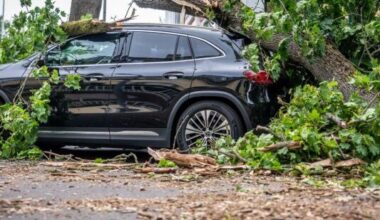 Sturm in Berlin: Tote und Verletzte