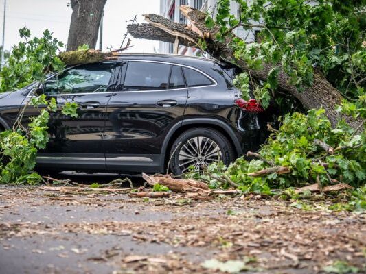 Sturm in Berlin: Tote und Verletzte