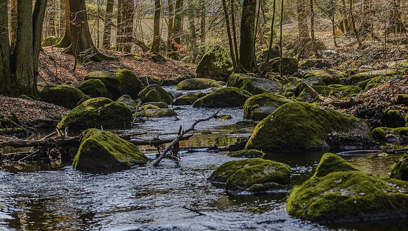 Starkregen spült Pestizide ins Wasser: So vergiftet sind Bayerns Bäche
