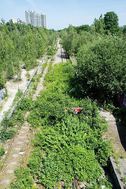 Seir Jahrzehnten ist die Bahnstrecke stillgelegt, die Natur holt sie sich zurück.