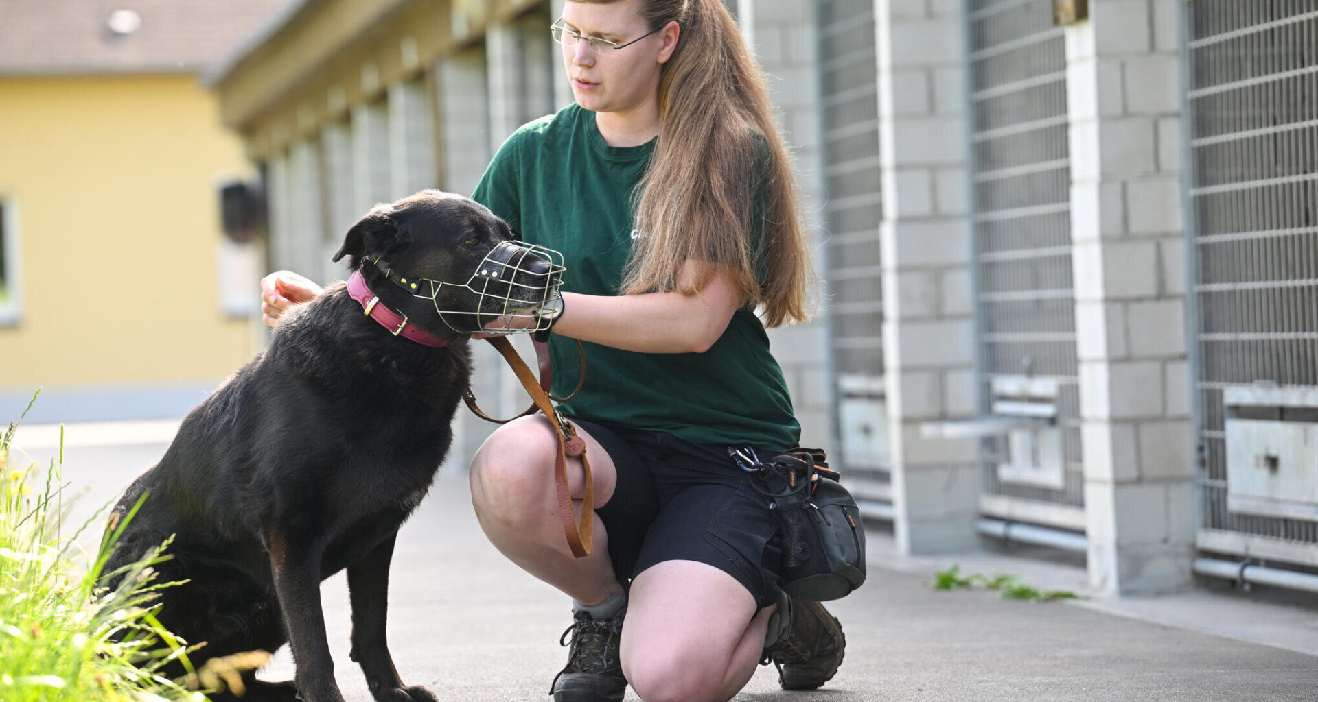 „Ohne uns gäbe es in Chemnitz Straßenhunde wie in Osteuropa“