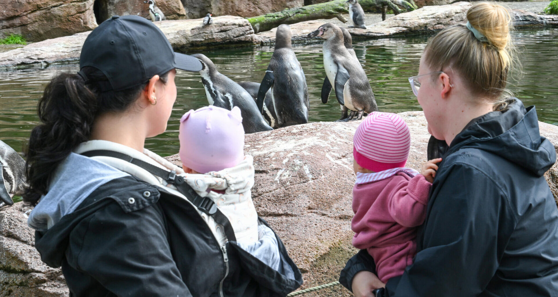 Amerika-Tierpark in Limbach-Oberfrohna startet besondere Aktionswoche