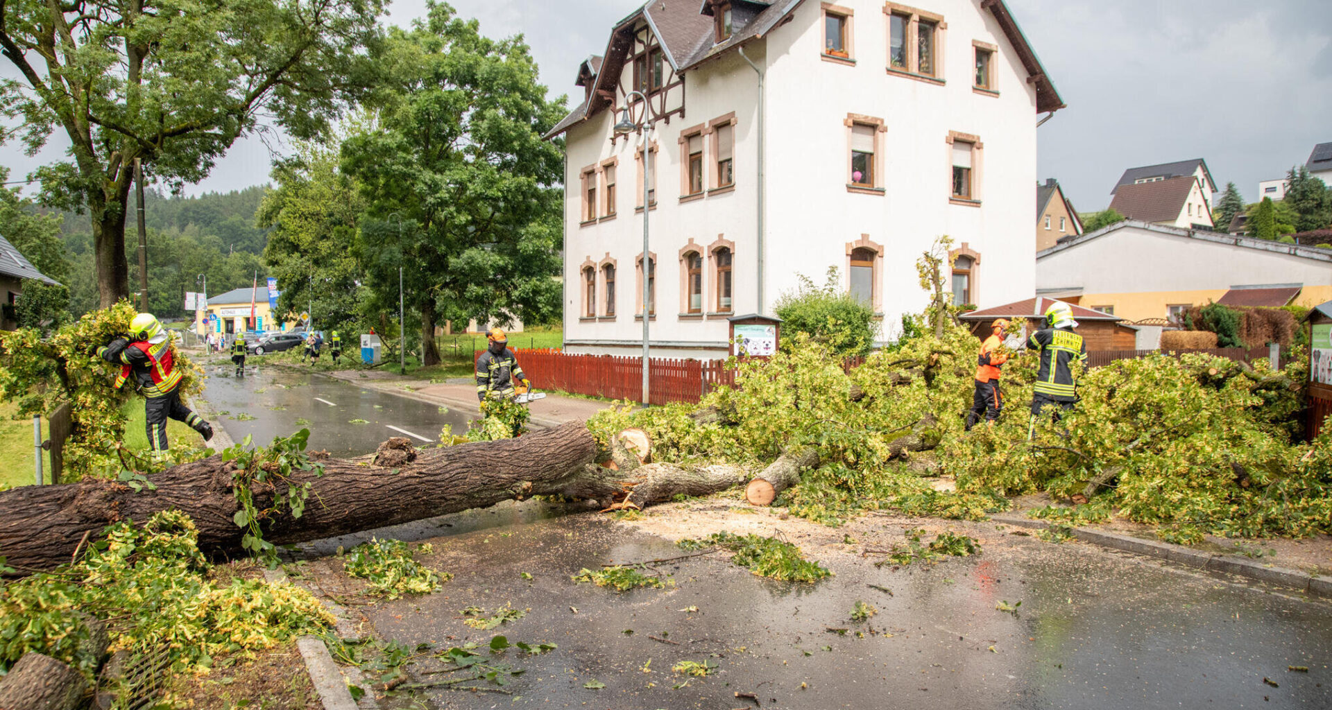 Bäume stürzen auch auf Gymnasium