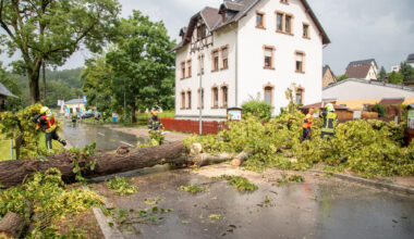 Bäume stürzen auch auf Gymnasium
