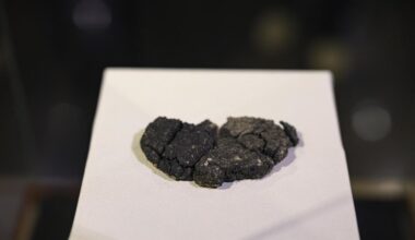 Brot aus der Bronzezeit: Kann man das noch essen?