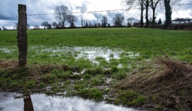 Starke Regenfälle und Gewitter über Pfingsten