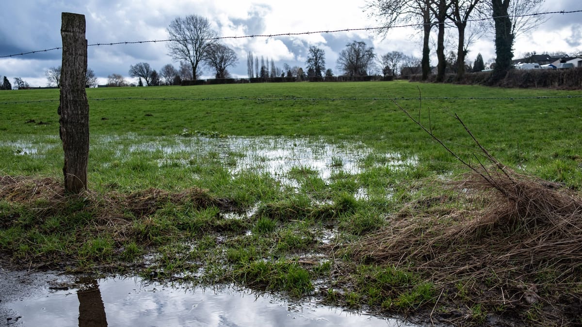 Starke Regenfälle und Gewitter über Pfingsten