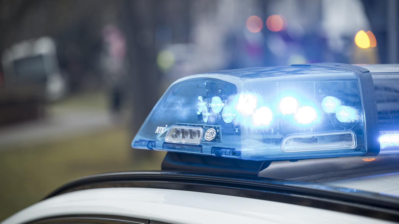 Jugendliche mutmaßlich in Berliner Naturschutzgebiet vergewaltigt