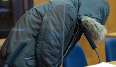 Plädoyers im Folter-Prozess um Arzt Alaa M.