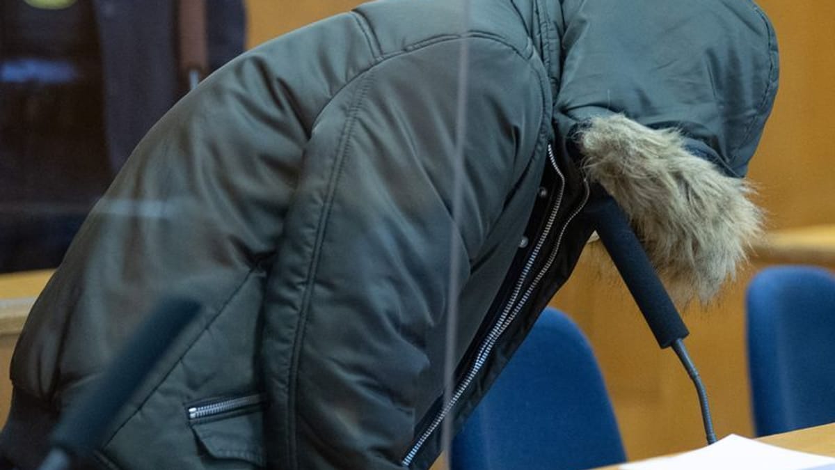 Plädoyers im Folter-Prozess um Arzt Alaa M.