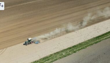 Milo Probsts Buch „Anarchistische Ökologien“