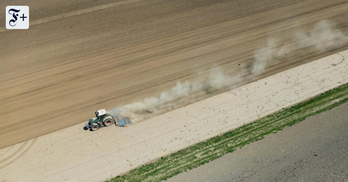 Milo Probsts Buch „Anarchistische Ökologien“