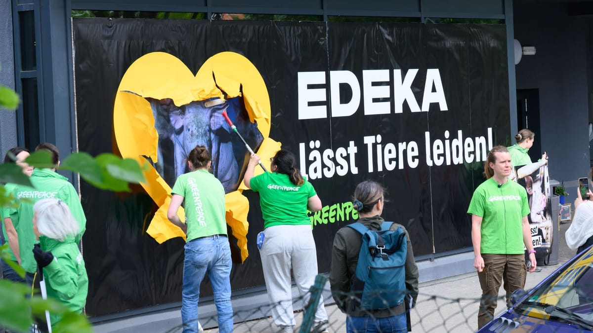 Greenpeace protestiert in Hannover gegen Tierleid bei Edeka