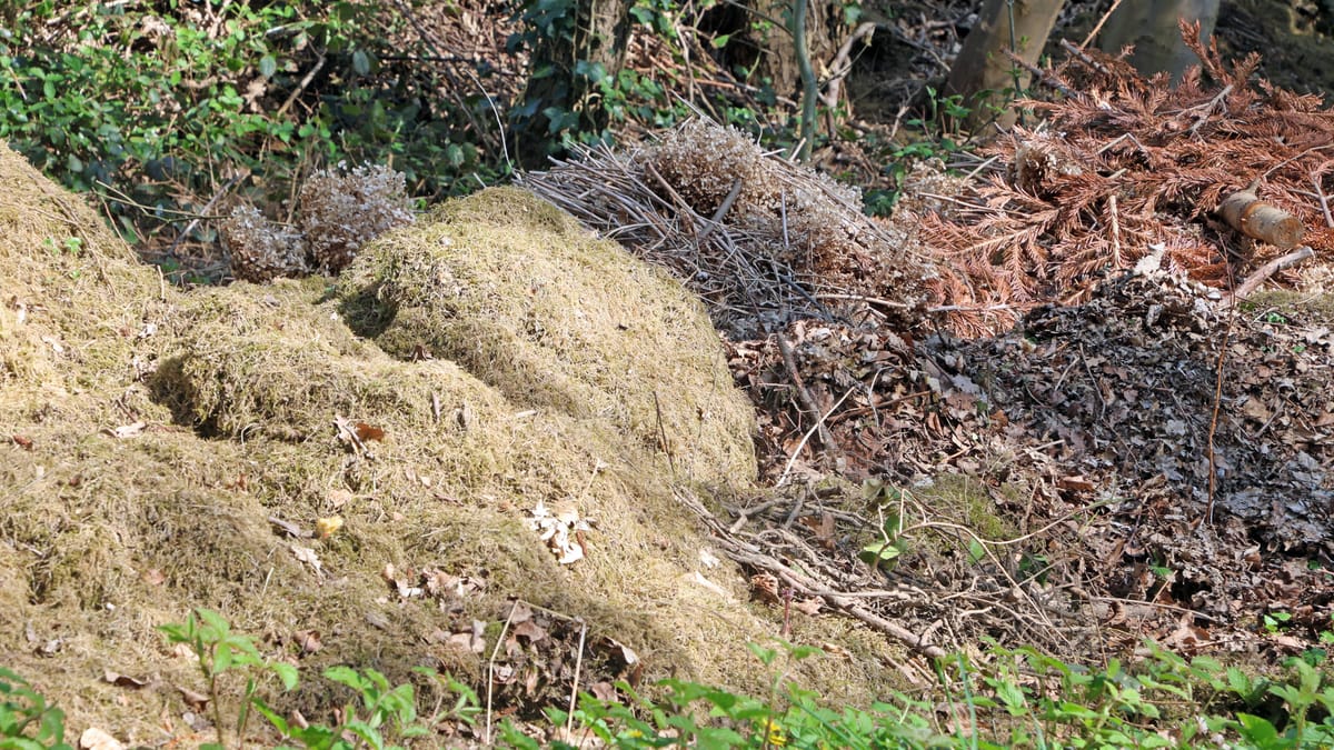Düsseldorf: Fünfstelliges Bußgeld für Abfall im Wald – auch Biomüll