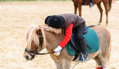 Frankfurter Ausflugstipp: Kuschelzeit mit Tieren