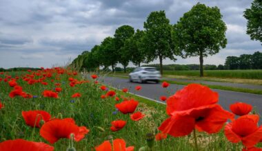 Wetter: Wechselhaftes Pfingstwochenende in Berlin und Brandenburg