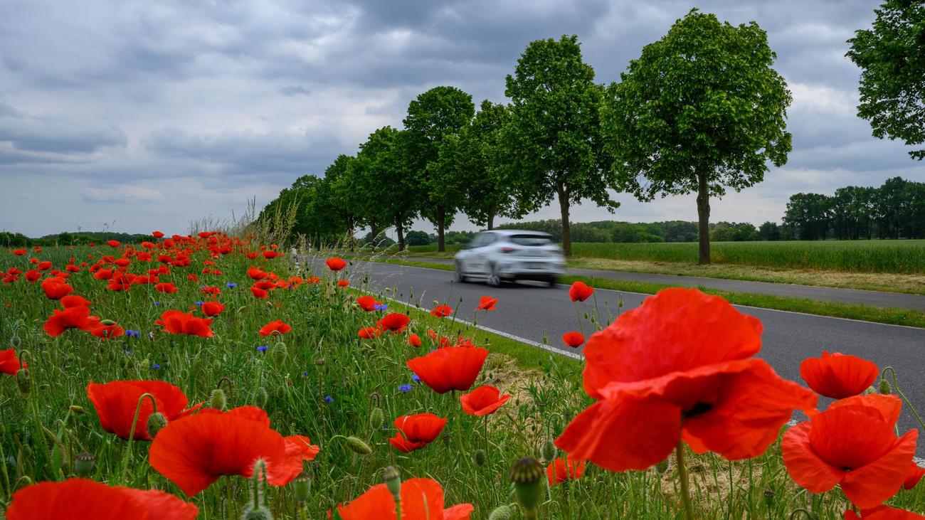 Wetter: Wechselhaftes Pfingstwochenende in Berlin und Brandenburg
