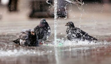 Hitzewelle bringt über 30 Grad und Gewittergefahr