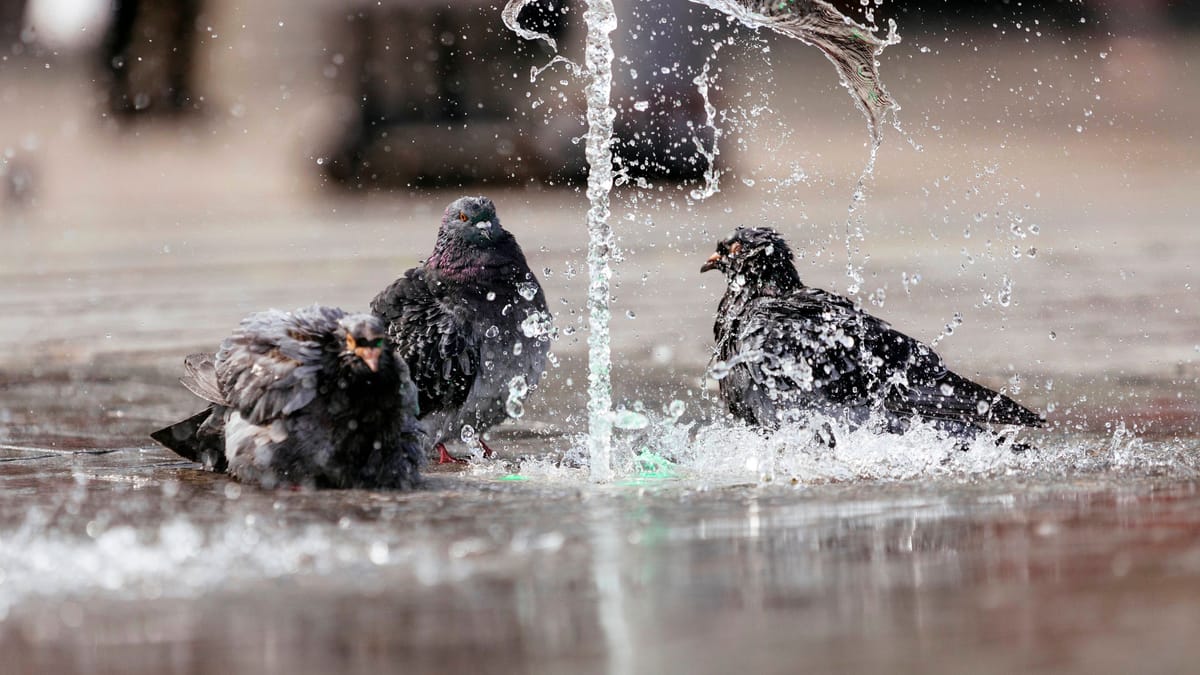 Hitzewelle bringt über 30 Grad und Gewittergefahr