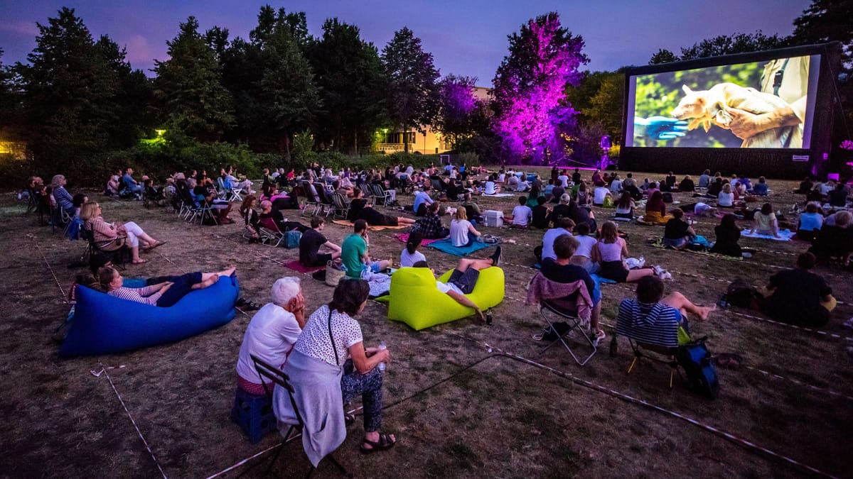 Open-Air-Kinos Hamburg 2025: Filme unter dem Sternenhimmel