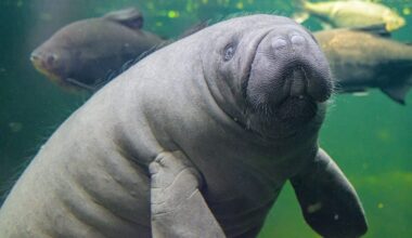 Im Zoo Duisburg erleben Besucher Tropen-Abenteuer