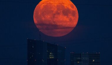 Besonders tiefer Erdbeermond erwartet - SWR Wissen