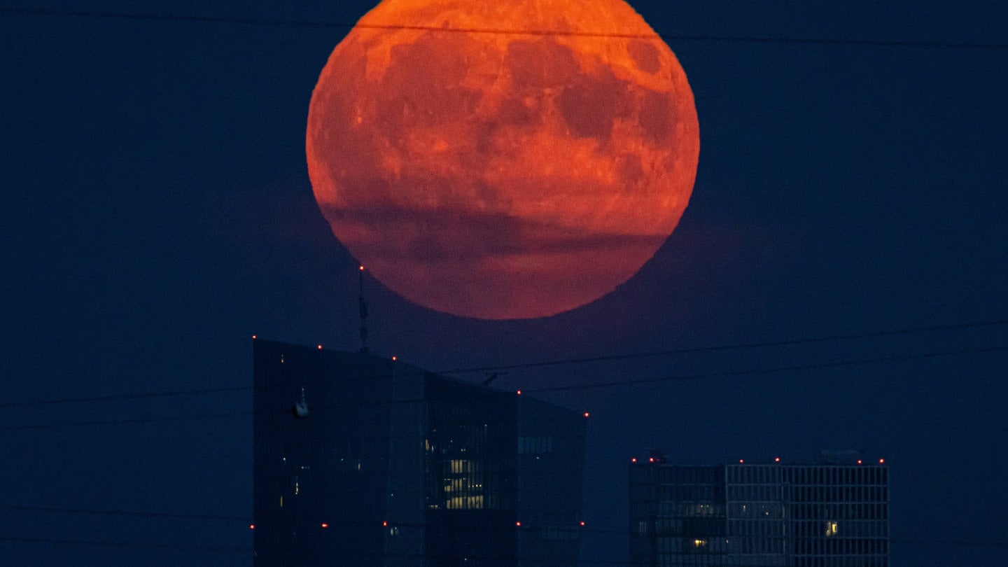 Besonders tiefer Erdbeermond erwartet - SWR Wissen