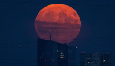 Der Tag: Zu diesem Zeitpunkt ist der Erdbeermond am besten zu sehen