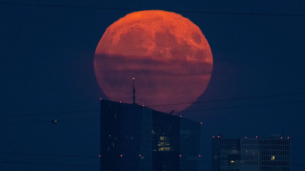 Der Tag: Zu diesem Zeitpunkt ist der Erdbeermond am besten zu sehen