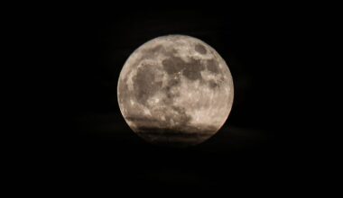 Dann können Sie den Mond am 11. Juni sehen