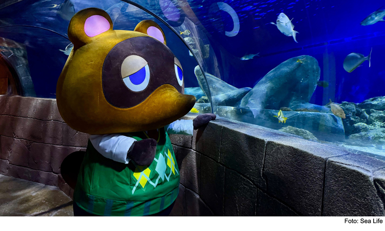 „Animal Crossing“ in München verlängert – RegionalReporter