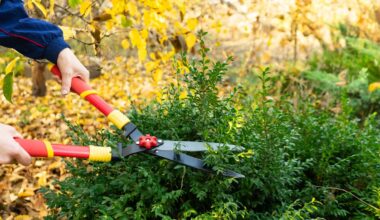 86-Jähriger zwischen Zaun und Hecke eingeklemmt