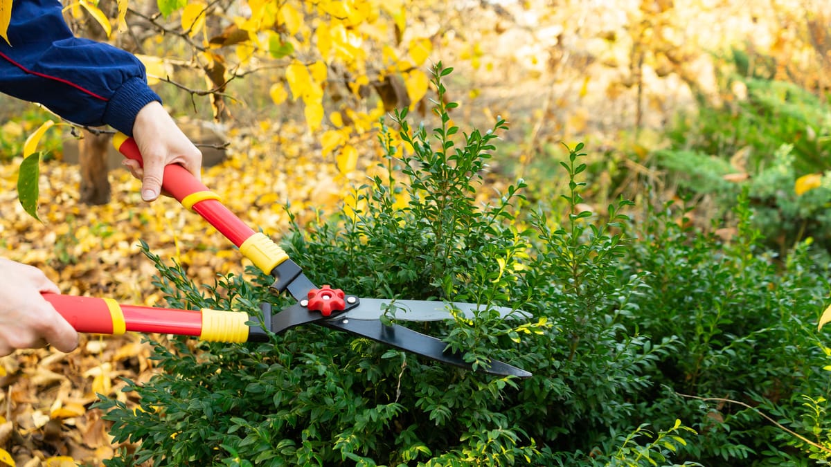 86-Jähriger zwischen Zaun und Hecke eingeklemmt
