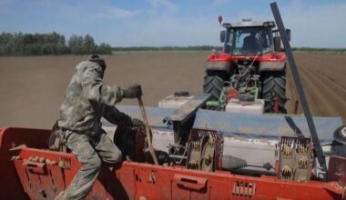 Sanktionen lassen Preise explodieren: Putin muss Russlands Kartoffel-Engpass zugeben
