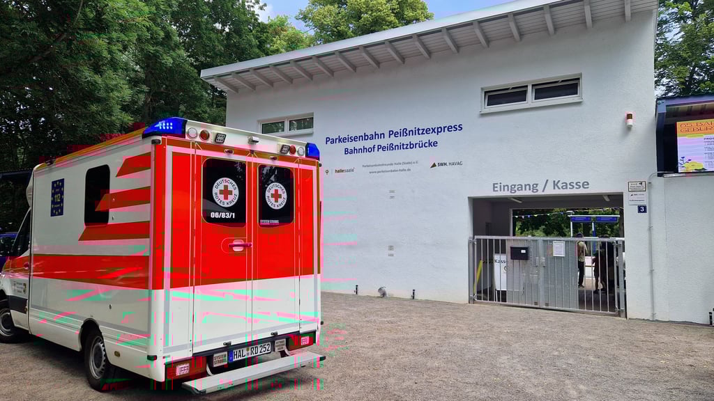 Die Rettungskräfte waren wenige Minuten nach dem Unfall auf der Peißnitz in Halle vor Ort.