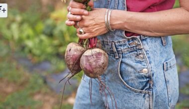 Martina Behms Roman „Hier draußen“