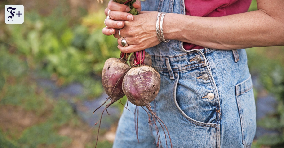 Martina Behms Roman „Hier draußen“