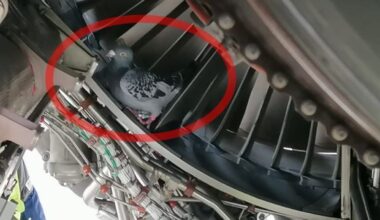 Flughafen Düsseldorf: Eurowings-Mitarbeiter machen überraschenden Fund