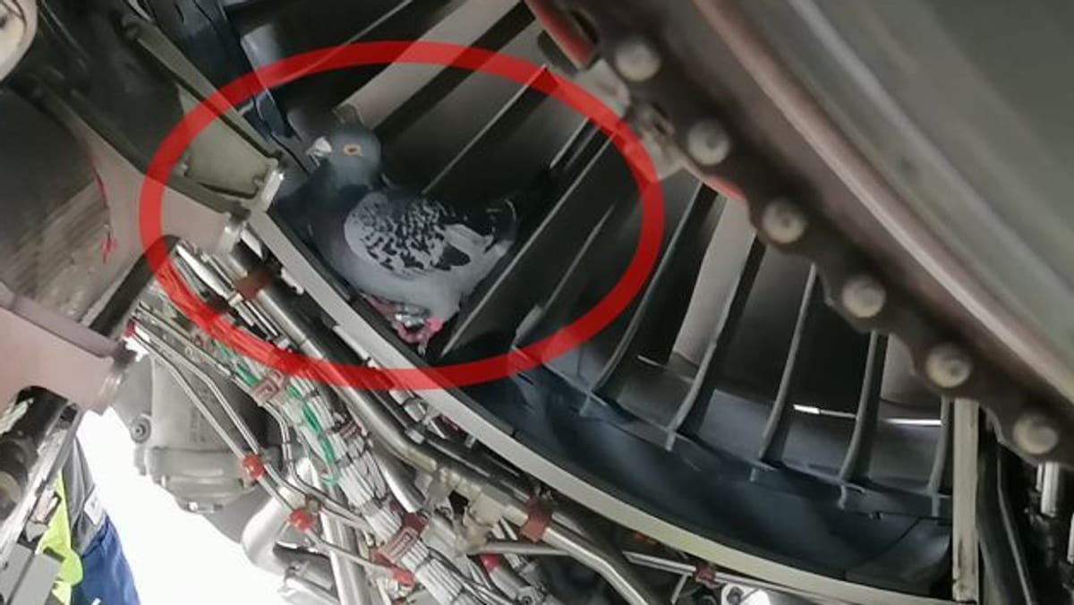 Flughafen Düsseldorf: Eurowings-Mitarbeiter machen überraschenden Fund