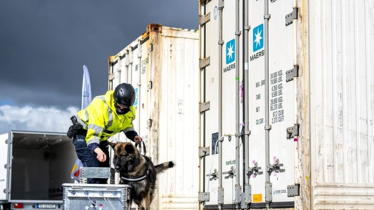 Zoll Hamburg entdeckt 600 Kilo Kokain in Fruchtcontainer aus Südamerika