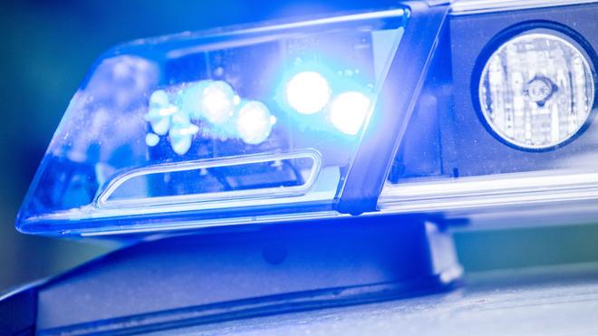 München: Bei einem Hundebiss in München wird ein Kind verletzt - die Polizei ermittelt. (Symbolbild)